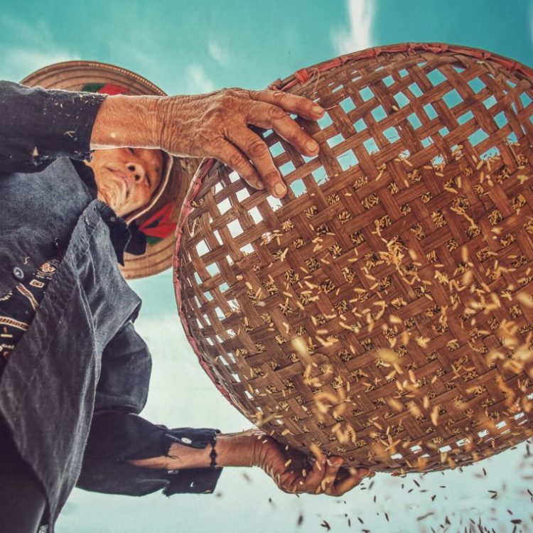 cropped-tuan-anh-tran-616011-unsplash-1